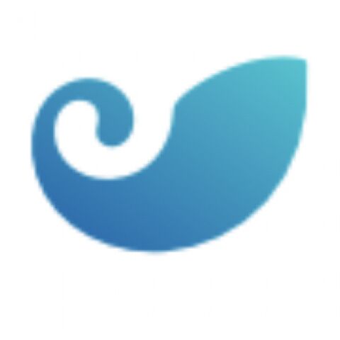 usdt冷钱包